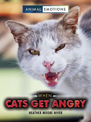 cover image of When Cats Get Angry
